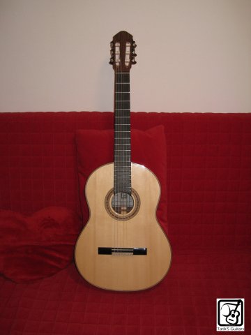 Indian Rosewood Classical guitar 01